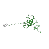 The deposited structure of PDB entry 8fto contains 1 copy of Pfam domain PF00164 (Ribosomal protein S12/S23) in Small ribosomal subunit protein uS12. Showing 1 copy in chain Q [auth L].