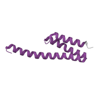 The deposited structure of PDB entry 8fto contains 1 copy of Pfam domain PF01649 (Ribosomal protein S20) in Small ribosomal subunit protein bS20. Showing 1 copy in chain Y [auth T].