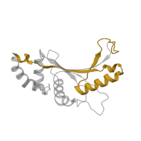 The deposited structure of PDB entry 8fto contains 1 copy of Pfam domain PF00281 (Ribosomal protein L5) in Large ribosomal subunit protein uL5. Showing 1 copy in chain HA [auth f].