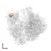 Small ribosomal subunit protein uS9 in PDB entry 8fto, assembly 1, front view.