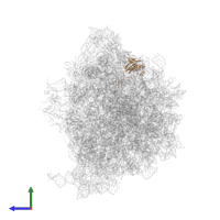 Small ribosomal subunit protein uS9 in PDB entry 8fto, assembly 1, side view.