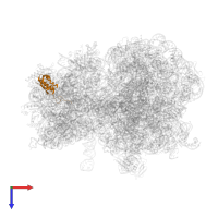 Small ribosomal subunit protein uS9 in PDB entry 8fto, assembly 1, top view.