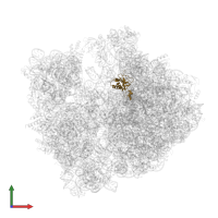 Large ribosomal subunit protein uL16 in PDB entry 8fto, assembly 1, front view.