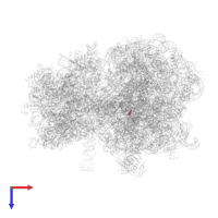 Modified residue 4D4 in PDB entry 8fto, assembly 1, top view.