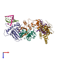 Hetero octameric assembly 1 of PDB entry 8fvi coloured by chemically distinct molecules, top view.