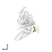 RNA(5'-R(*AP*AP*AP*AP*AP*AP*AP*AP*A)-3') in PDB entry 8fvi, assembly 1, side view.