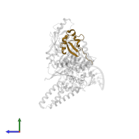 Elongin-B in PDB entry 8fvi, assembly 1, side view.