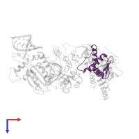 Elongin-C in PDB entry 8fvi, assembly 1, top view.