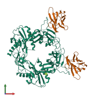 Hetero tetrameric assembly 1 of PDB entry 8fxs coloured by chemically distinct molecules, front view.