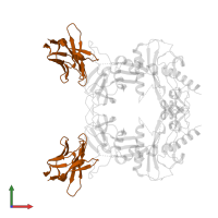 Nanobody clone 18 in PDB entry 8fxv, assembly 1, front view.