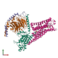 Hetero tetrameric assembly 1 of PDB entry 8fy8 coloured by chemically distinct molecules, front view.