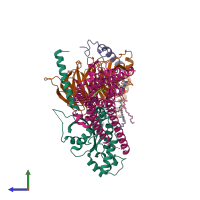 Hetero tetrameric assembly 1 of PDB entry 8fy8 coloured by chemically distinct molecules, side view.