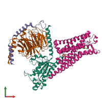 PDB entry 8fy8 coloured by chain, front view.