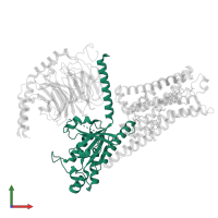 Guanine nucleotide-binding protein G(i) subunit alpha-1 in PDB entry 8fy8, assembly 1, front view.