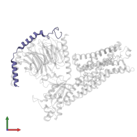 Guanine nucleotide-binding protein G(I)/G(S)/G(O) subunit gamma-2 in PDB entry 8fy8, assembly 1, front view.