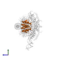 Cas2-DEDDh in PDB entry 8fyd, assembly 1, side view.