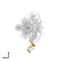 DNA (13-MER) in PDB entry 8fyd, assembly 1, side view.