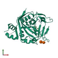 PDB entry 8fyy coloured by chain, front view.