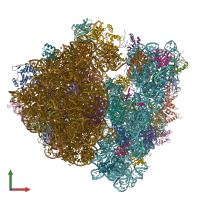 PDB entry 8g2u coloured by chain, front view.