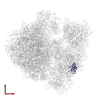 Small ribosomal subunit protein uS8 in PDB entry 8g2u, assembly 1, front view.