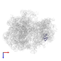 Small ribosomal subunit protein uS8 in PDB entry 8g2u, assembly 1, top view.