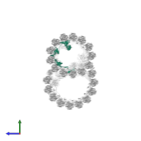 Flagellar microtugule protofilament ribbon protein in PDB entry 8g3d, assembly 1, side view.