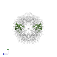 Proteasome subunit beta in PDB entry 8g6e, assembly 1, side view.