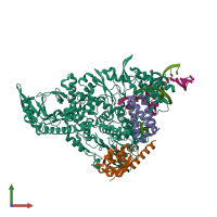 PDB entry 8g6r coloured by chain, front view.