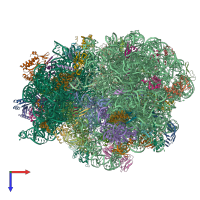 PDB entry 8g7q coloured by chain, top view.