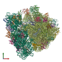 PDB entry 8g7r coloured by chain, front view.
