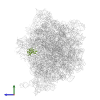 50S ribosomal protein L13 in PDB entry 8g7r, assembly 1, side view.