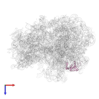 50S ribosomal protein L13 in PDB entry 8g7s, assembly 1, top view.