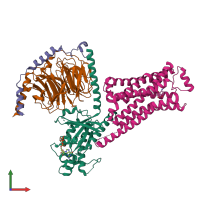PDB entry 8gg2 coloured by chain, front view.