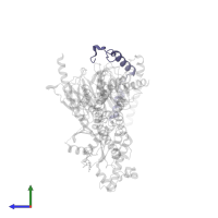 Guanine nucleotide-binding protein G(I)/G(S)/G(O) subunit gamma-2 in PDB entry 8gg7, assembly 1, side view.