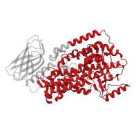 The deposited structure of PDB entry 8ghc contains 2 copies of Pfam domain PF00305 (Lipoxygenase) in Polyunsaturated fatty acid lipoxygenase ALOX12. Showing 1 copy in chain A.