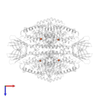 FE (II) ION in PDB entry 8ghe, assembly 1, top view.