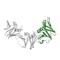 The deposited structure of PDB entry 8giy contains 2 copies of Pfam domain PF02768 (DNA polymerase III beta subunit, C-terminal domain) in Beta sliding clamp. Showing 1 copy in chain G [auth H].