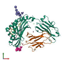 PDB entry 8glg coloured by chain, front view.