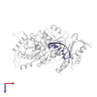 DNA (5'-D(*AP*GP*TP*GP*TP*GP*AP*G)-3') in PDB entry 8gml, assembly 1, top view.