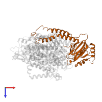 Cytochrome bo(3) ubiquinol oxidase subunit 2 in PDB entry 8go3, assembly 1, top view.