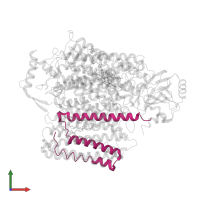 Cytochrome bo(3) ubiquinol oxidase subunit 4 in PDB entry 8go3, assembly 1, front view.