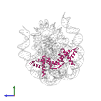 Histone H2B 1.1 in PDB entry 8gpn, assembly 1, side view.