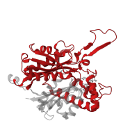 The deposited structure of PDB entry 8gqn contains 4 copies of Pfam domain PF00108 (Thiolase, N-terminal domain) in Probable acyl-CoA thiolase. Showing 1 copy in chain A.