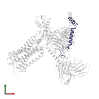 Guanine nucleotide-binding protein G(I)/G(S)/G(O) subunit gamma-2 in PDB entry 8gus, assembly 1, front view.