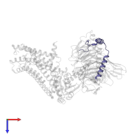 Guanine nucleotide-binding protein G(I)/G(S)/G(O) subunit gamma-2 in PDB entry 8gus, assembly 1, top view.