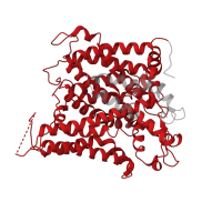 The deposited structure of PDB entry 8gva contains 2 copies of Pfam domain PF00955 (HCO3- transporter family) in Anion exchange protein 2. Showing 1 copy in chain A.