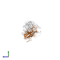 TD08 TCR beta chain in PDB entry 8gvg, assembly 1, side view.