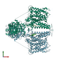 PDB entry 8gvh coloured by chain, front view.