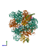 Hetero dodecameric assembly 1 of PDB entry 8gxx coloured by chemically distinct molecules, side view.