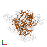 V-type ATP synthase beta chain in PDB entry 8gxx, assembly 1, front view.